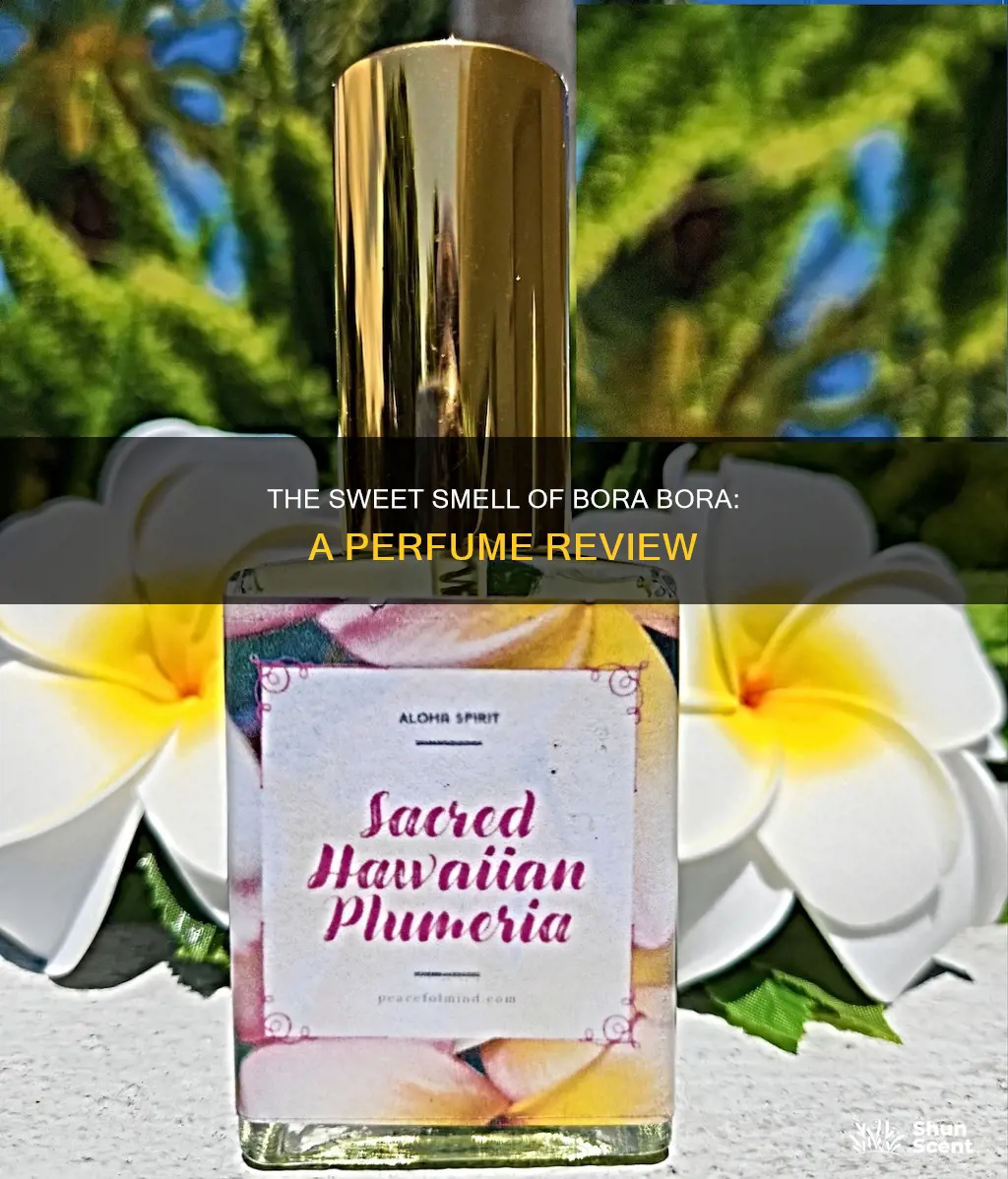 what does bora bora perfume smell like