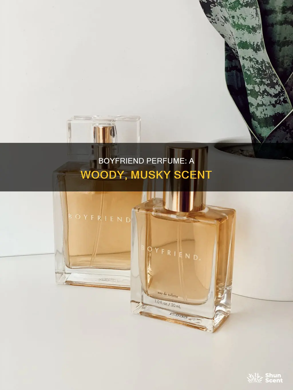 what does boyfriend perfume smell like