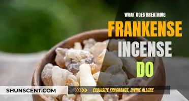 Frankenstein Incense: Breathing Benefits and Risks Explored