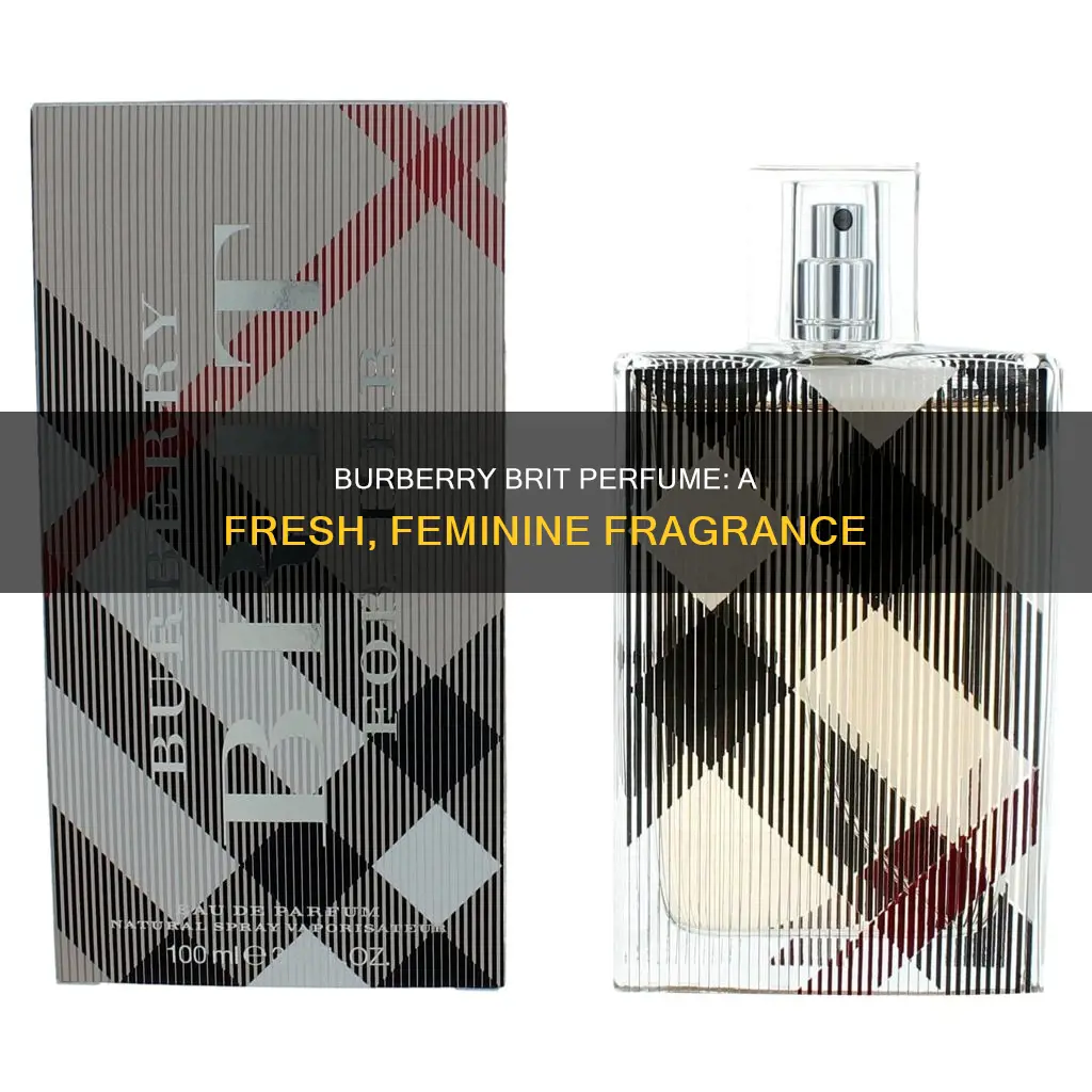 what does burberry brit perfume smell like