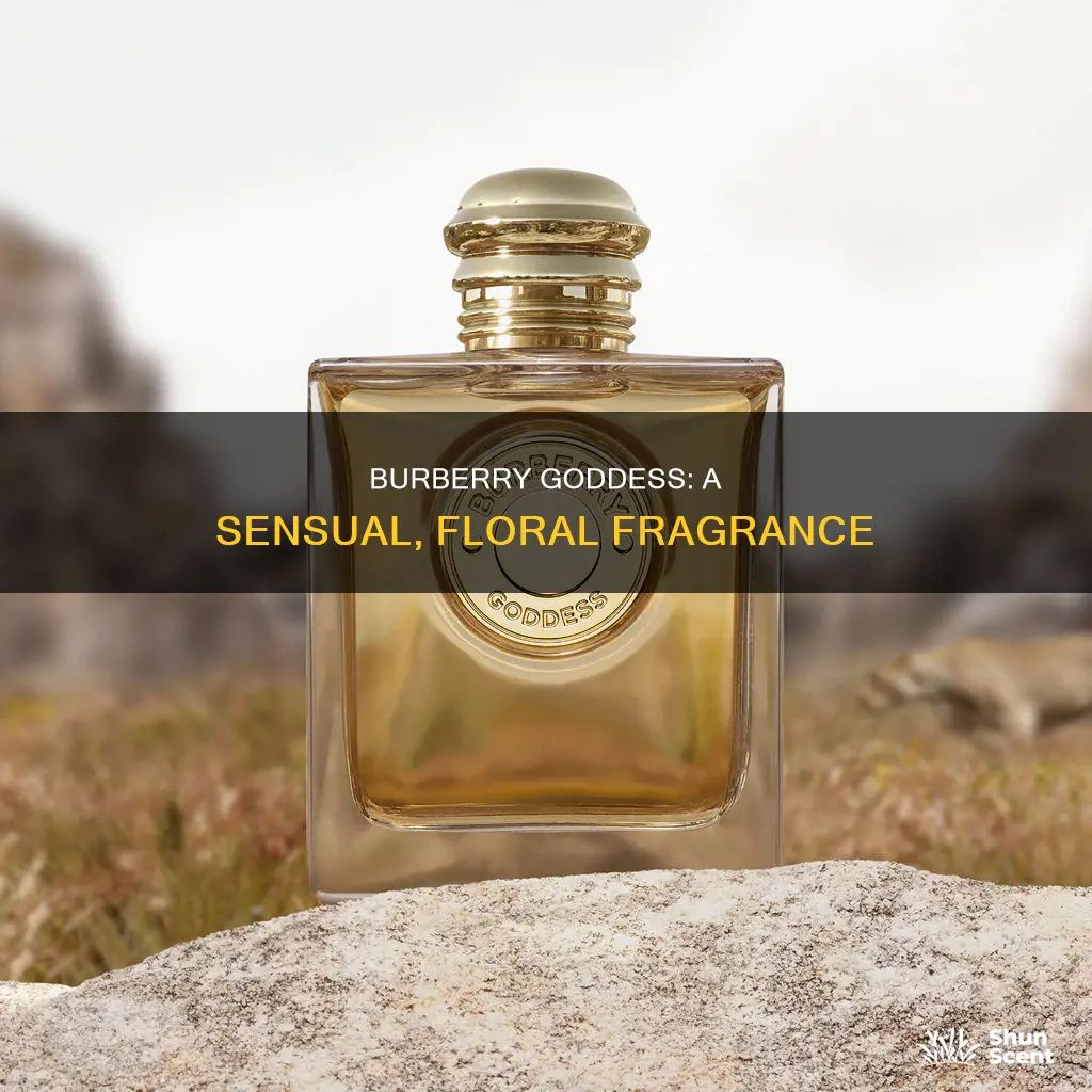 what does burberry goddess perfume smell like