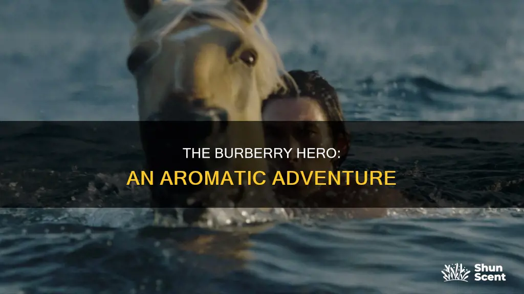 what does burberry hero cologne smell like