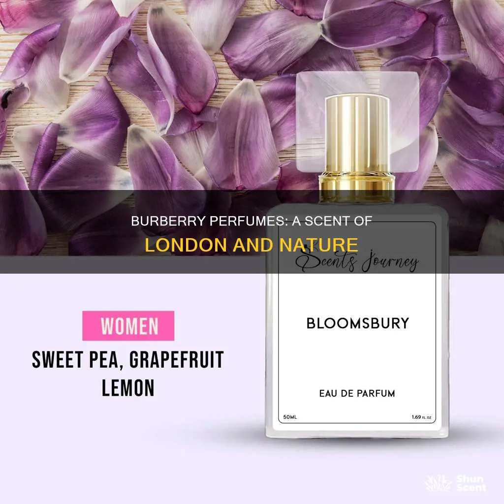 what does burberry perfume smell like