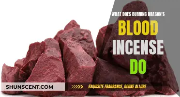 Unveiling Dragon's Blood Incense: Ancient Rituals, Modern Aromatherapy