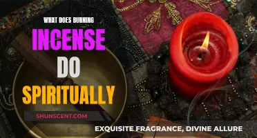 Incense Burning: Spiritual Purification and Elevation
