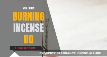Incense Burning: Ancient Rituals, Modern Benefits