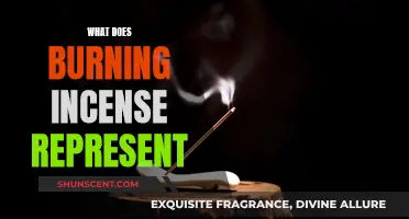 Incense Burning: Ancient Rituals, Symbolism, and Meanings Explored