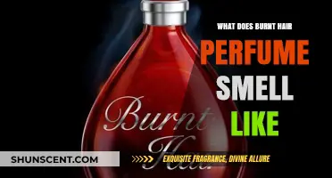 Burnt Hair Perfume: Smoky, Sweet, or Sultry?