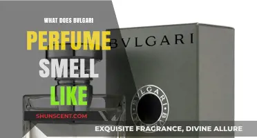 Unveiling the Scents of Bvlgari Perfumes