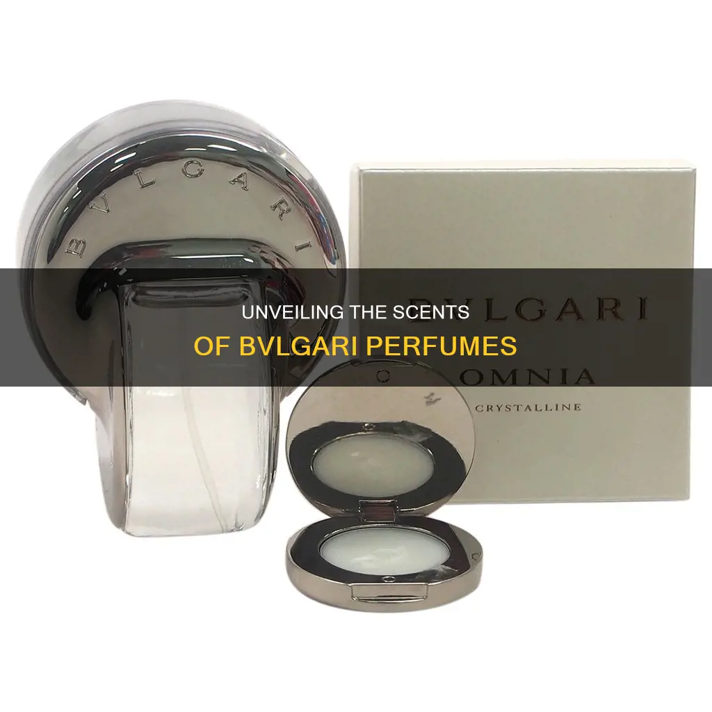 what does bvlgari perfume smell like