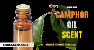Unveiling the Refreshing Essence: What Does Camphor Oil Scent?