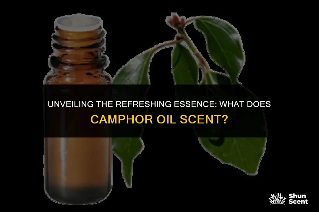 what does camphor oil scent