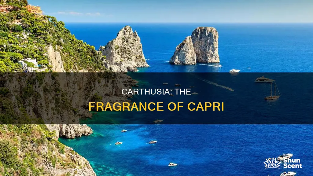 what does carthusia perfume smell like