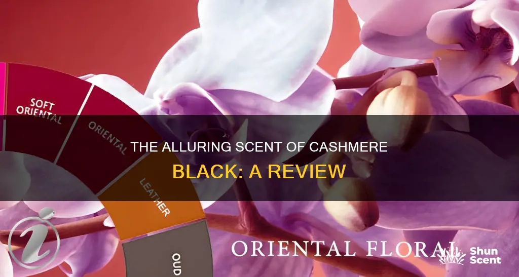 what does cashmere black perfume smell like