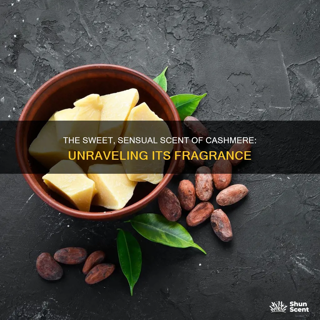 what does cashmere fragrance smell like