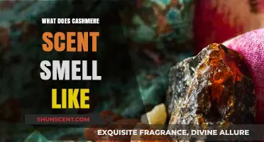 Unveiling the Luxurious Aroma: What Does Cashmere Scent Smell Like?