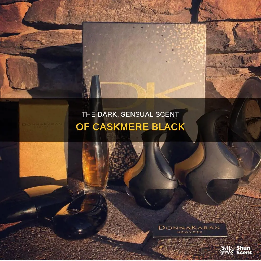 what does caskmere black perfume smell like