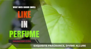 The Sweet, Earthy Scent of Cassis in Perfumes