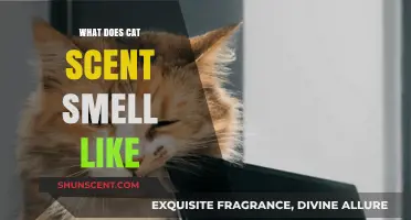 Decoding the Feline Fragrance: What Does Cat Scent Really Smell Like?
