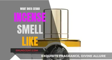 The Cedar Incense Aroma: A Sensory Experience