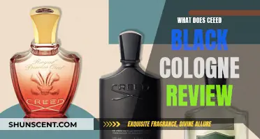 The Bold, Dark, and Seductive: Review of Ceeed Black Cologne