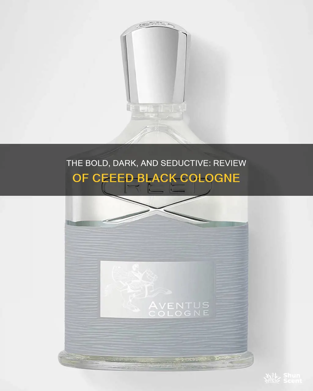 what does ceeed black cologne review