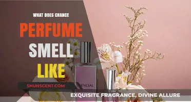 Chance Perfume: A Sensory Exploration of Scents