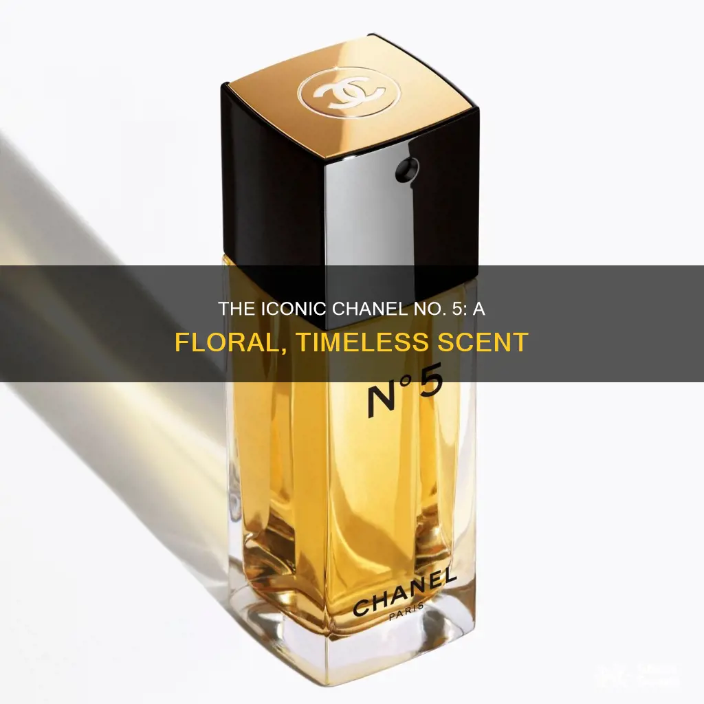 what does chanel 5 perfume smell like