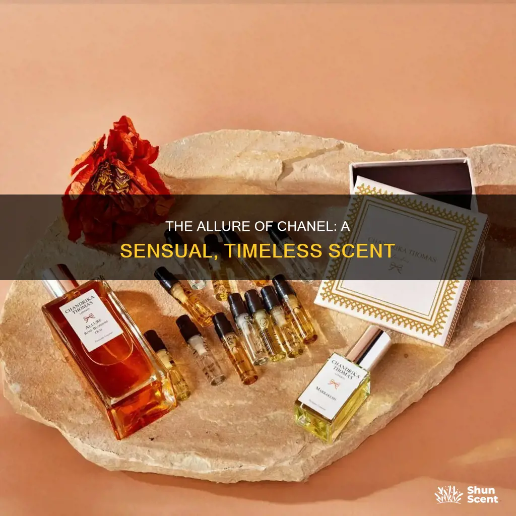 what does chanel allure perfume smell like