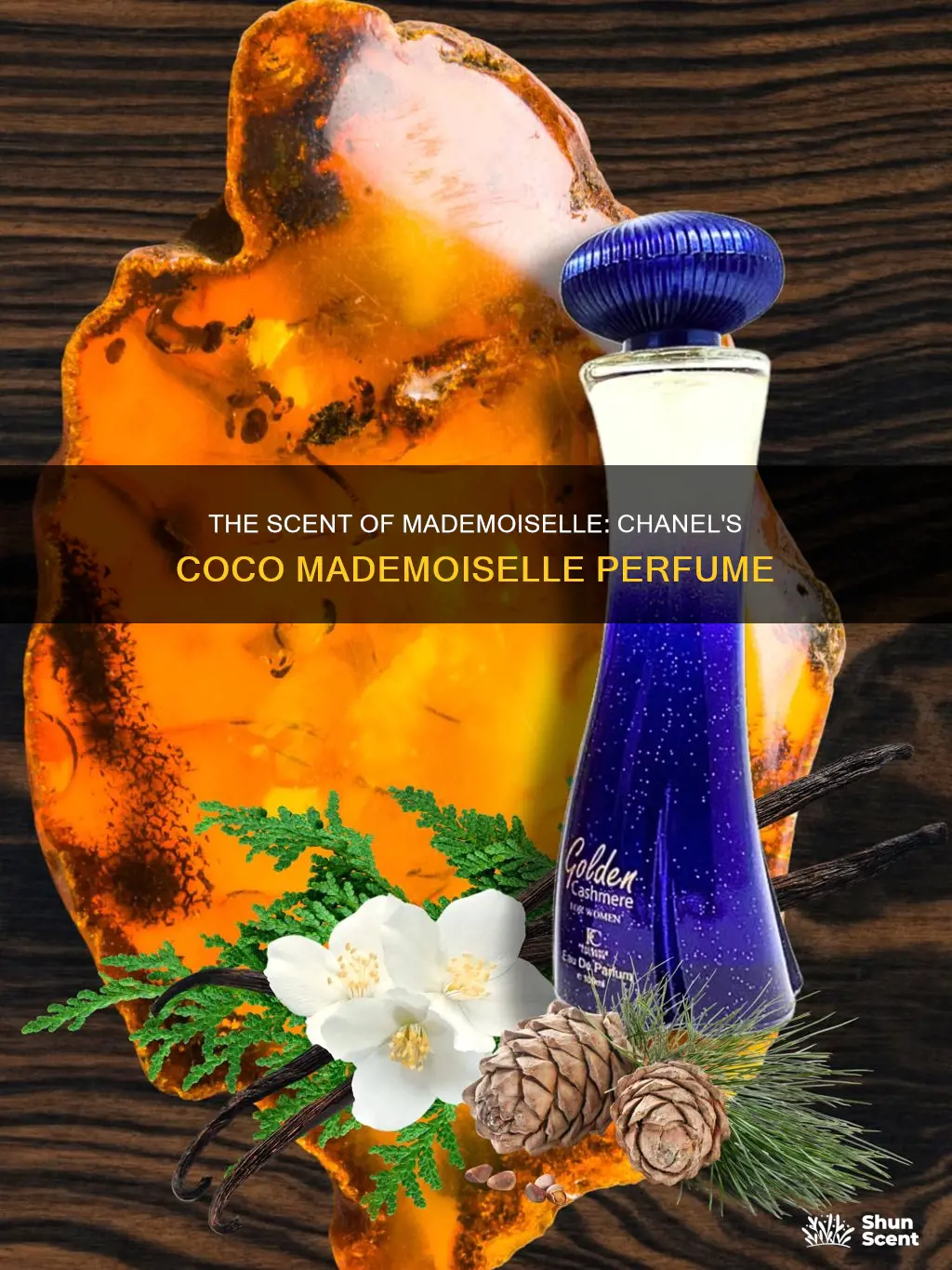 what does chanel coco mademoiselle perfume smell like