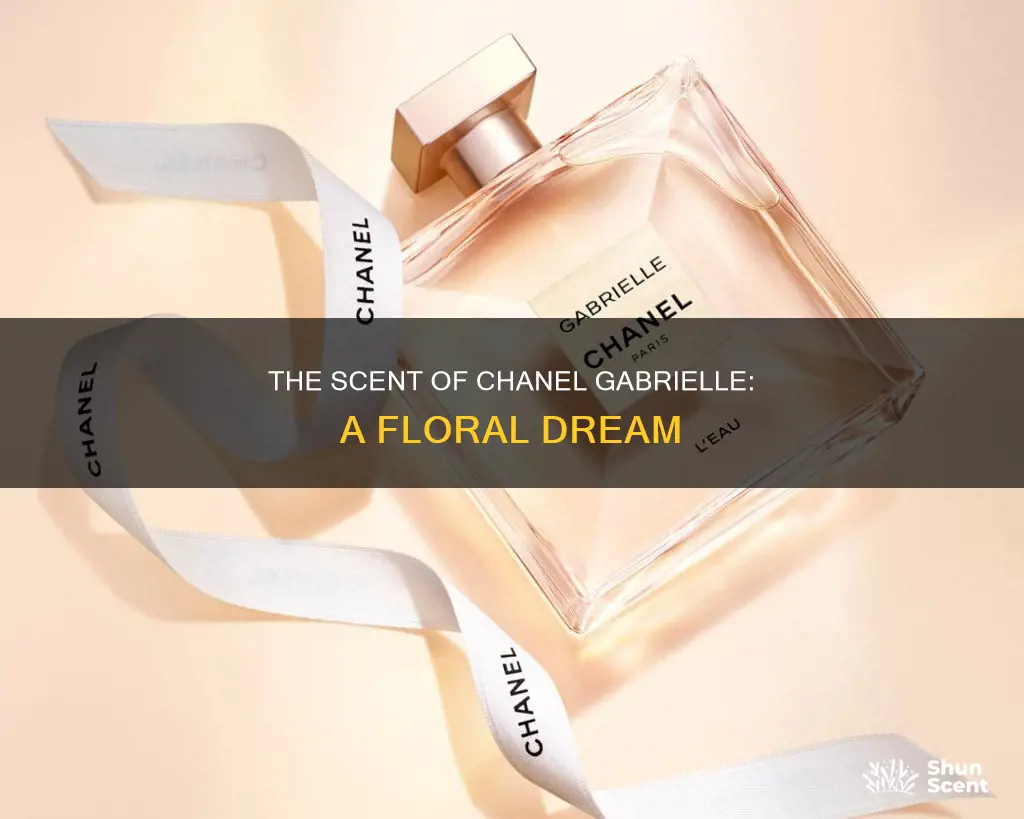 what does chanel gabrielle perfume smell like