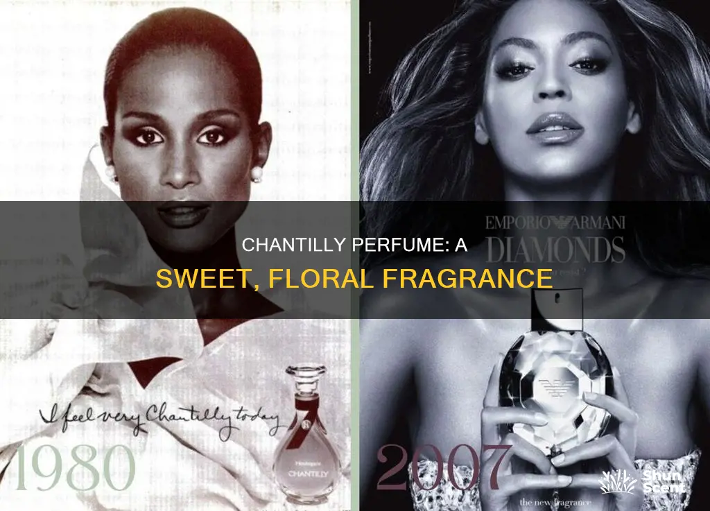 what does chantilly perfume smell like