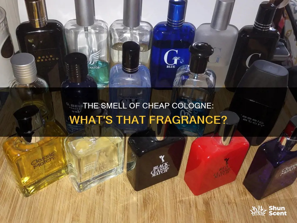 what does cheap cologne smell like