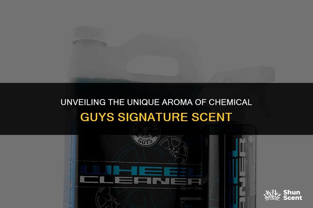 what does chemical guys signature scent smell like