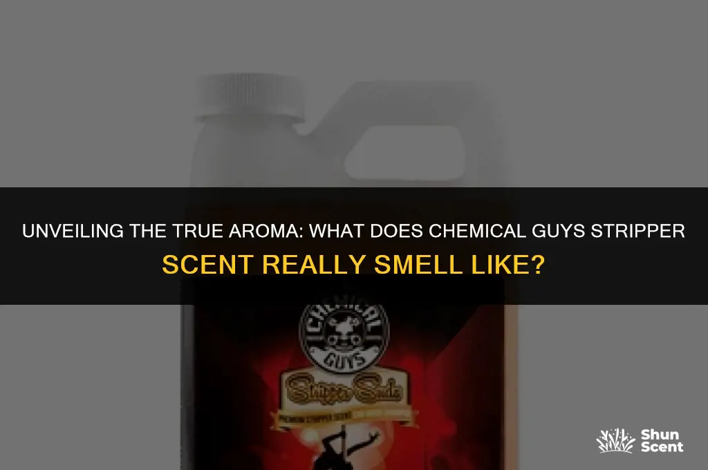 what does chemical guys stripper scent actually smell like