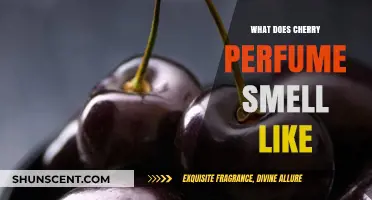 Cherry Perfume: The Sweet, Fruity Scent