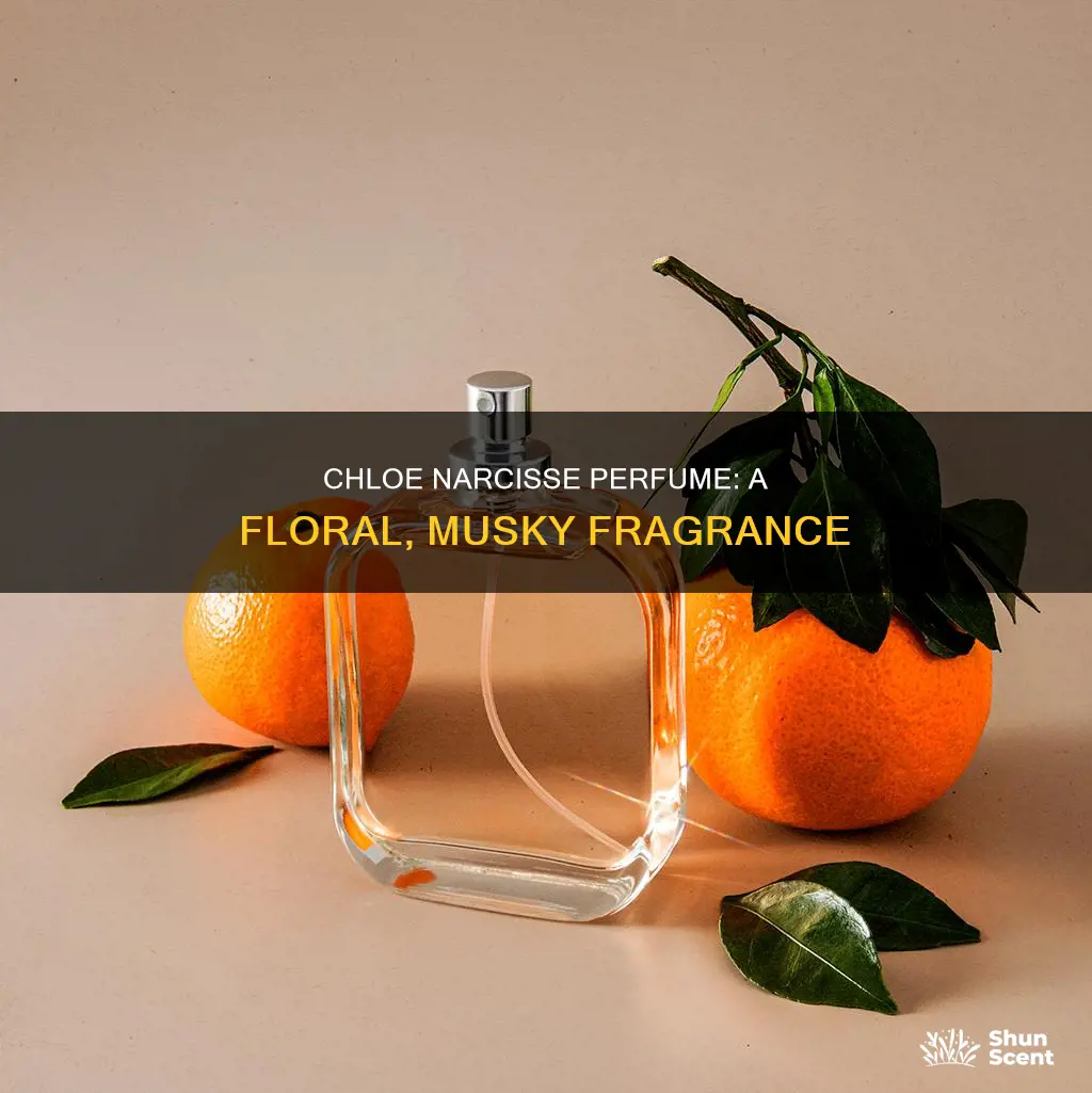 what does chloe narcisse perfume smell like