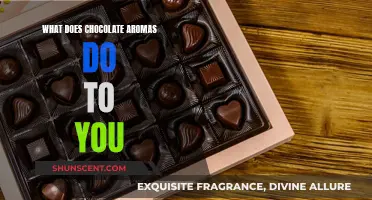 Chocolate Aromas: Their Effect on Your Mind and Body