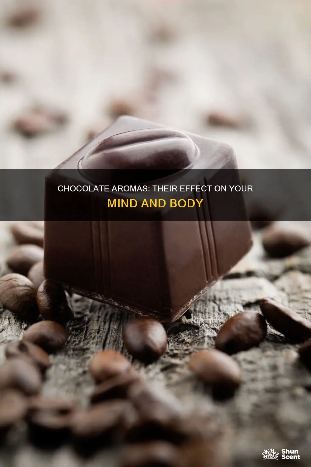 what does chocolate aromas do to you