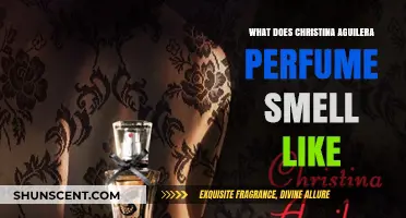 Christina Aguilera's Scents: Sweet and Sensual