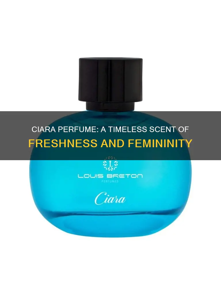 what does ciara perfume smell like