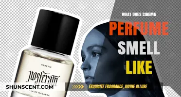 The Smell of Cinema: A Perfumed Journey