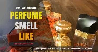The Alluring Scent of Cinnabar Perfume