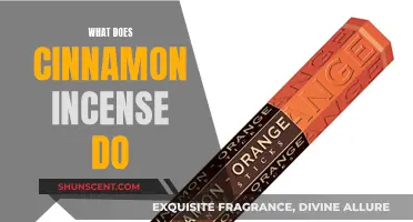 Cinnamon Incense: Benefits and Uses for a Cozy Home