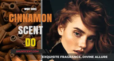 Unveiling the Warmth: How Cinnamon Scent Soothes and Invigorates