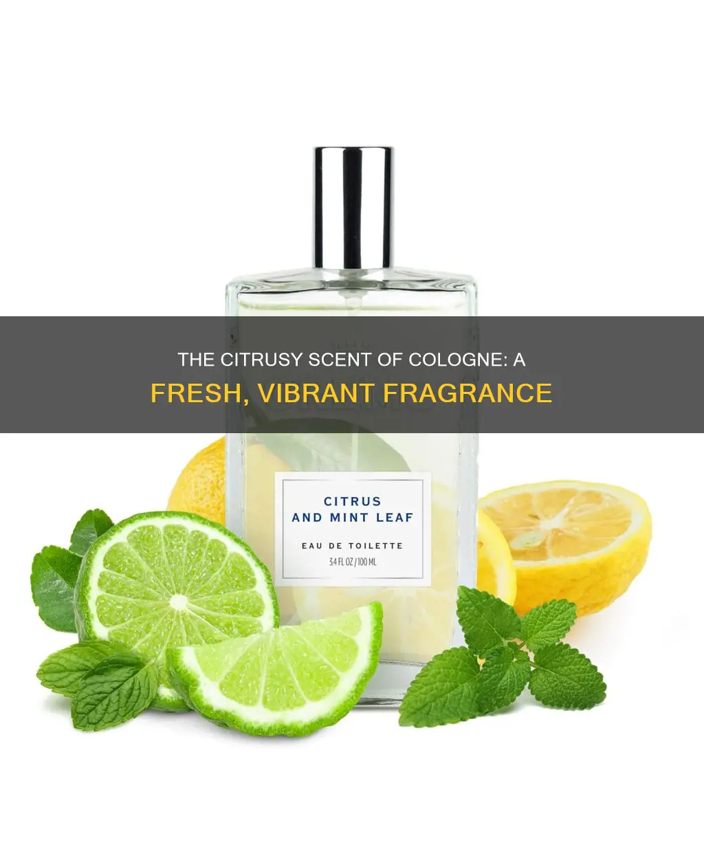 what does citrus cologne smell like