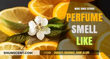 Citrus Scents: Fresh and Zesty Aromas