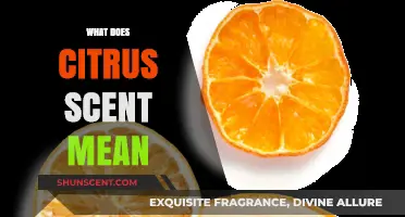Unraveling the Essence: What Does Citrus Scent Mean?