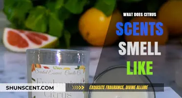 Exploring the Invigorating Essence: What Citrus Scents Really Smell Like