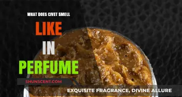 The Smell of Civet in Perfumes: Animalic Aromas